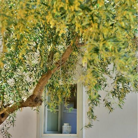 Douskos Beach House Apartman Ídra Kültér fotó